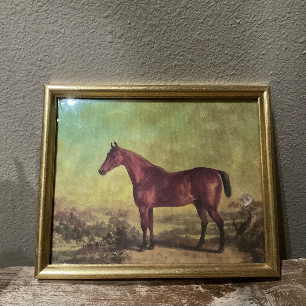 Equestrian horse print